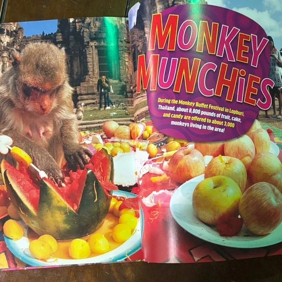 Kids Fun Facts Book - Ripley’s!!♥️♥️♥️ - Picture 3 of 4